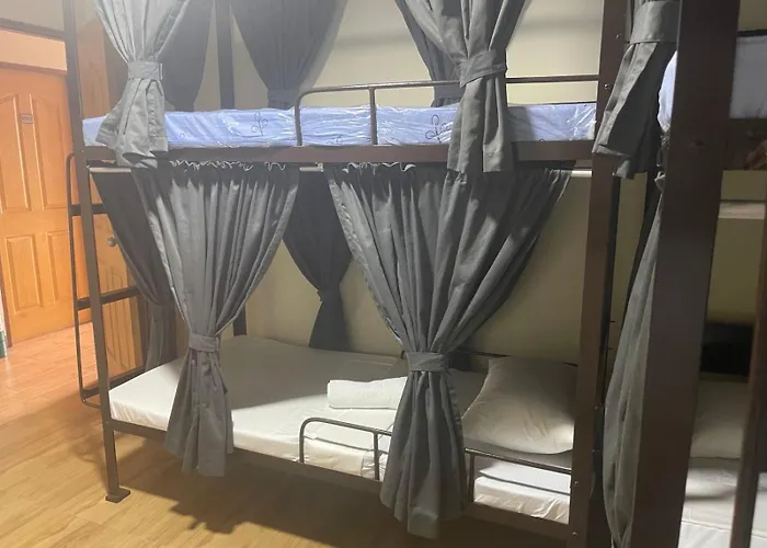The Budget Hostel *
