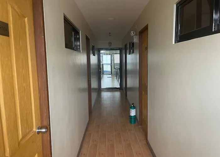 Hostel The Budget